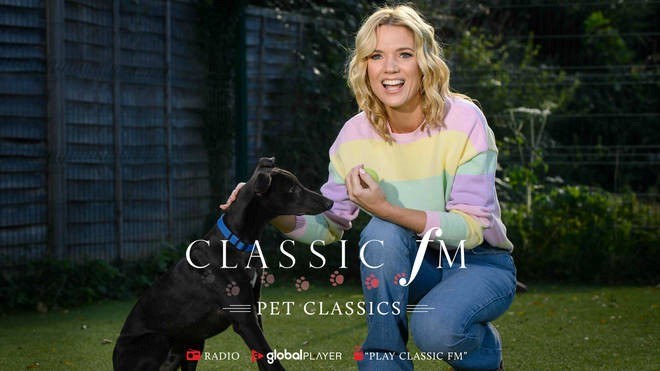 Pet-Classics.jpg#asset:875