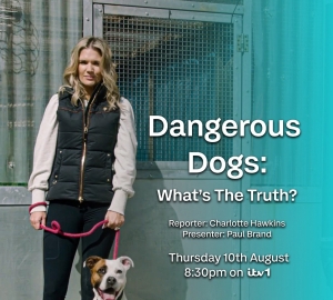 Dangerous Dogs documentary